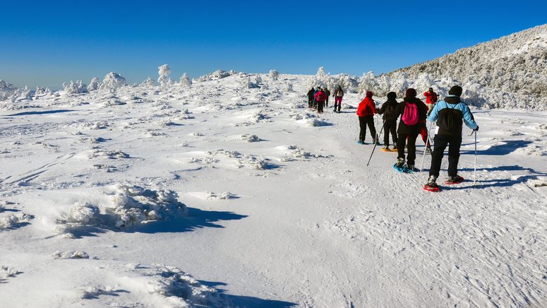 raquetas nieve navacerrada madrid