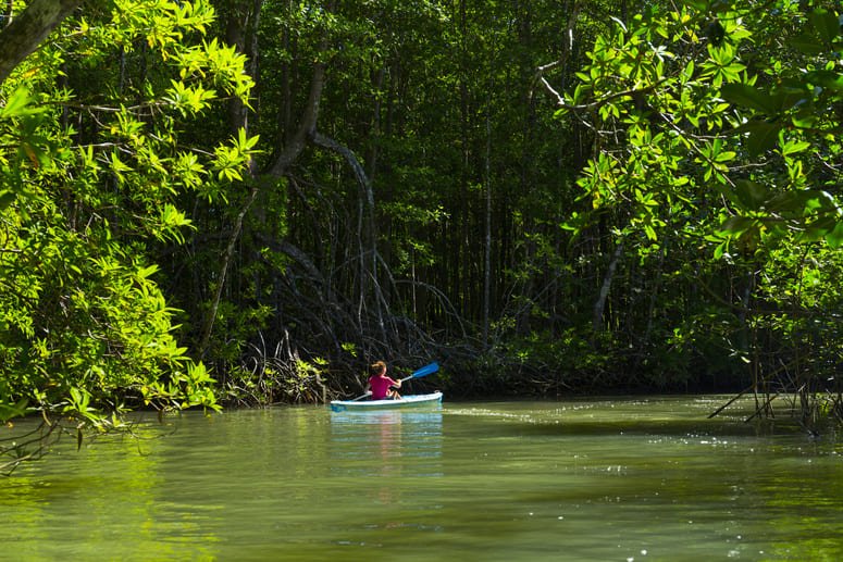 multiday kayak tour golfo dulce