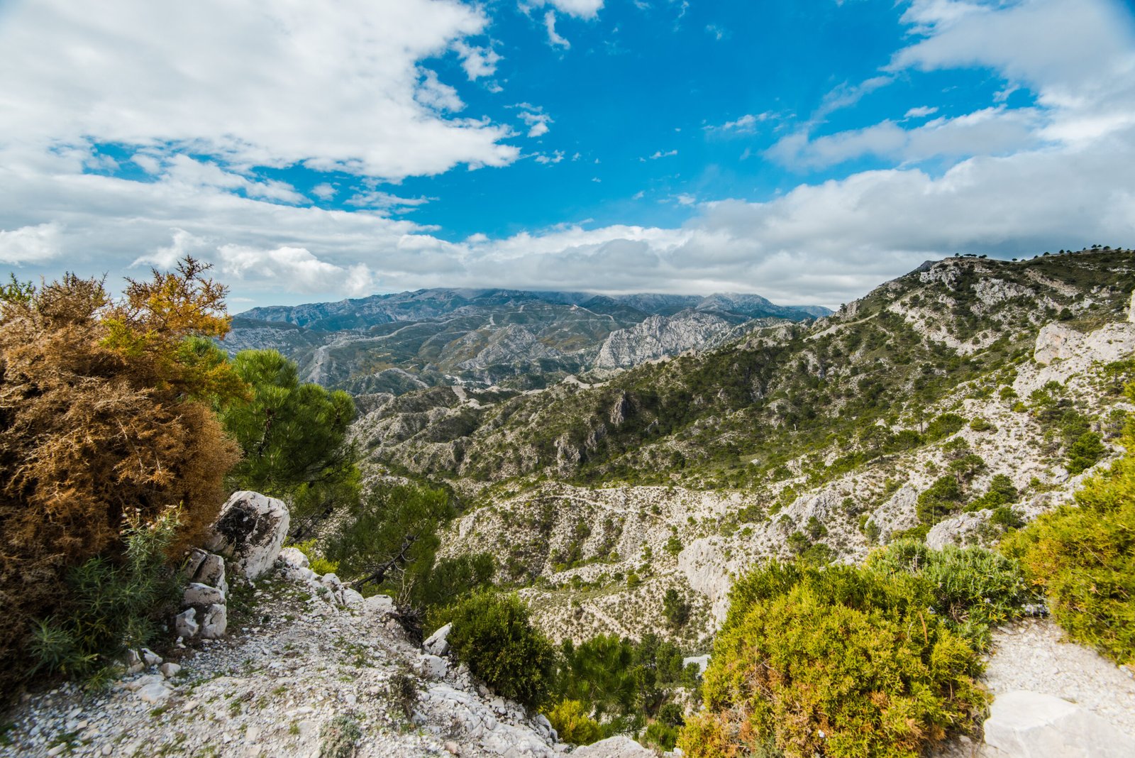 Senderismo Frigiliana Cata Vinos