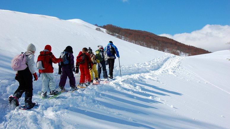 Excursión privada raquetas nieve Navacerrada