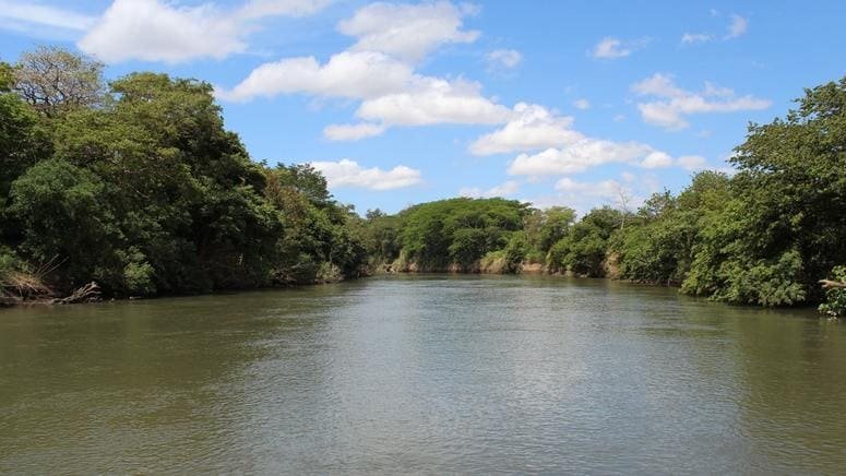 Tour Café Parque Nacional Palo Verde