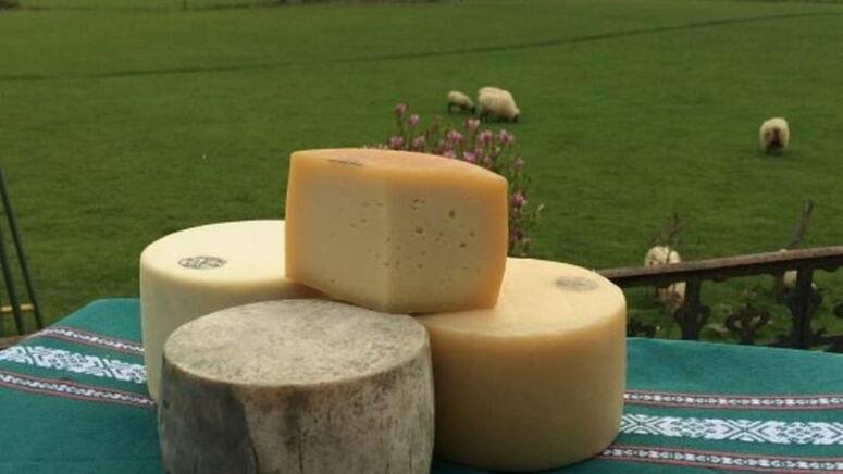 visita museo queso idiazabal