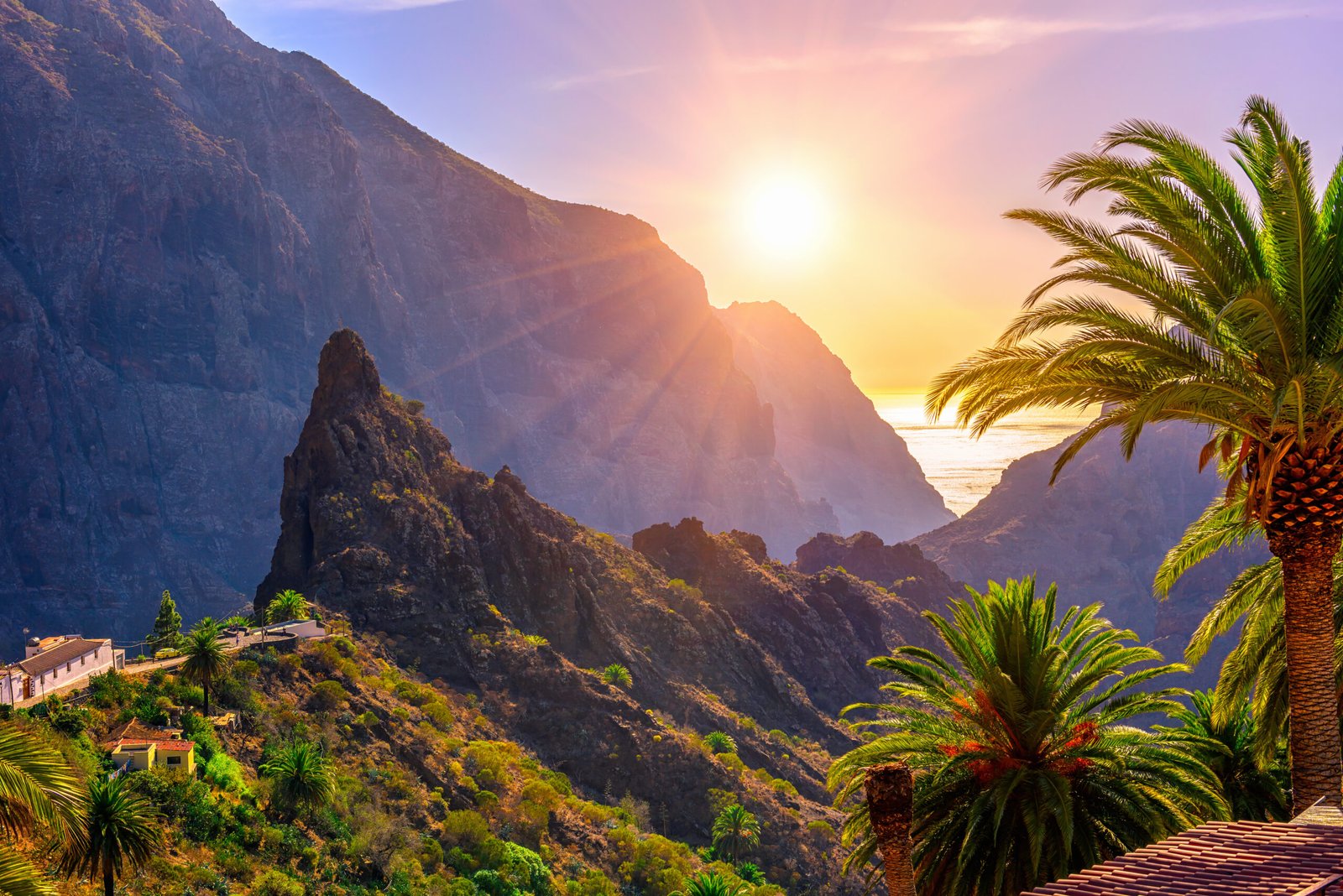 Tour Teide Icod Garachico Masca