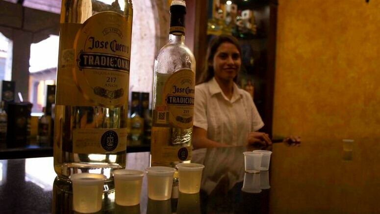 ruta tequila jalisco