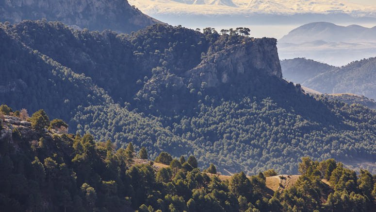 Tour arte rupestre Jaén