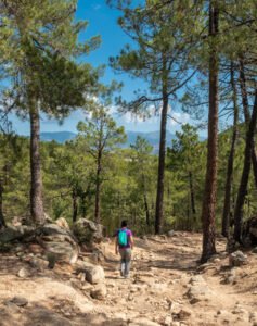 Excursión Parque Nacional Guadarrama