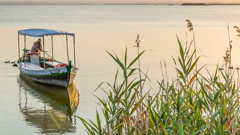tour lago albufera paella