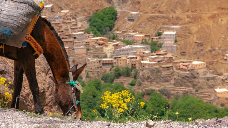 Trekking al valle de Imlil y Toubkal desde Marrakech