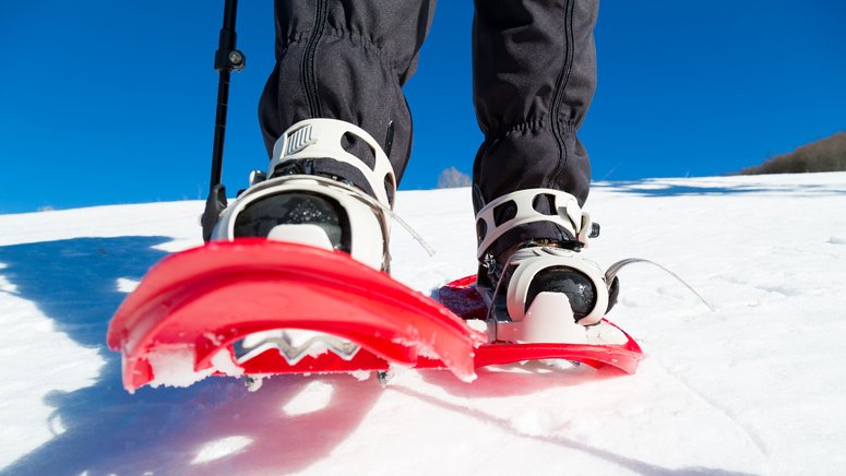 Excursión privada raquetas nieve Navacerrada