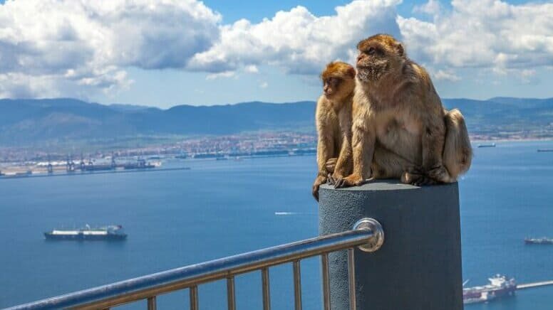 Excursión Gibraltar Málaga