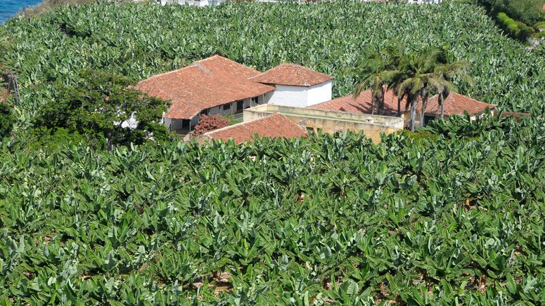 tour gastronomico exclusivo tenerife