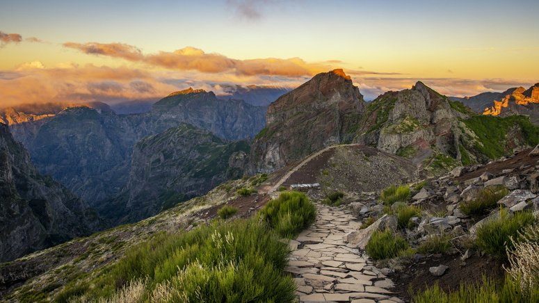 Descubre este Madeira