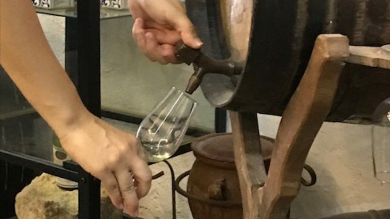 Cata vinos Córdoba taller venencia