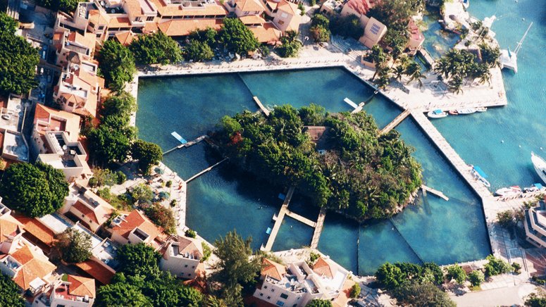 Nada delfines Riviera Maya
