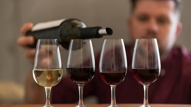 Cata exclusiva vinos argentinos