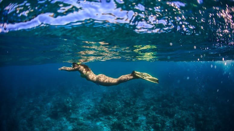 Aventura paddleboard snorkel El Arco