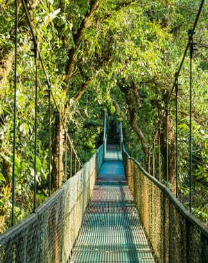 Tirolina rapel Monteverde