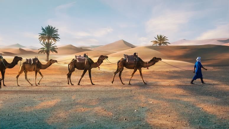 Excursión grupal 3 días desierto Merzouga