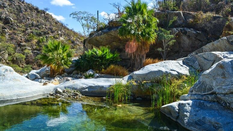 Ruta desierto Baja California