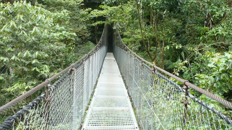Tour aves Parque Natural Mistico Arenal