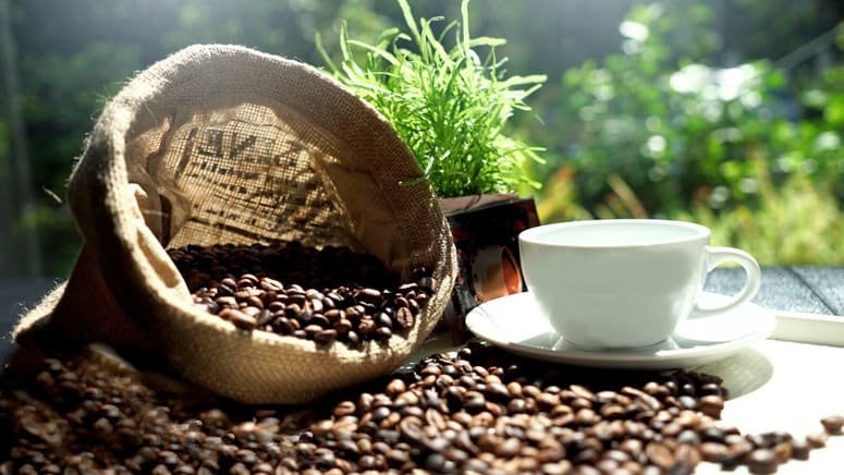 Excursión café cacao caña azúcar Monteverde