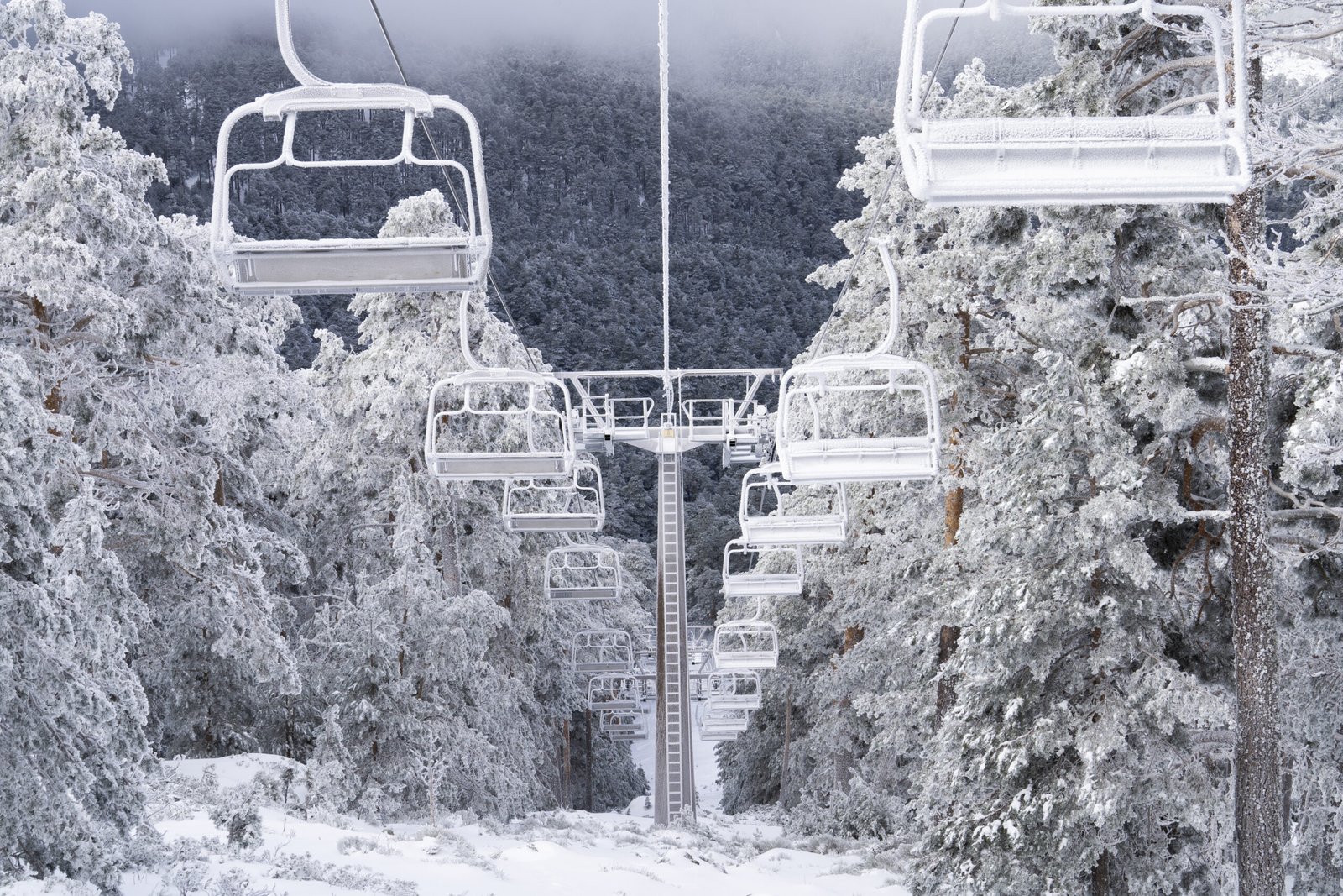 actividad-raquetas-nieve-navacerrada