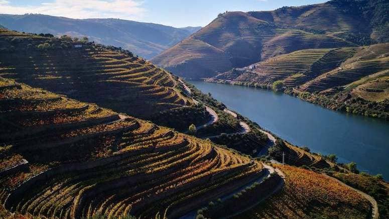 cata vino premium bodega poças