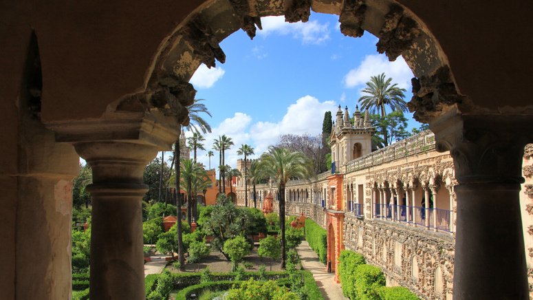 Tour privado Sevilla histórica