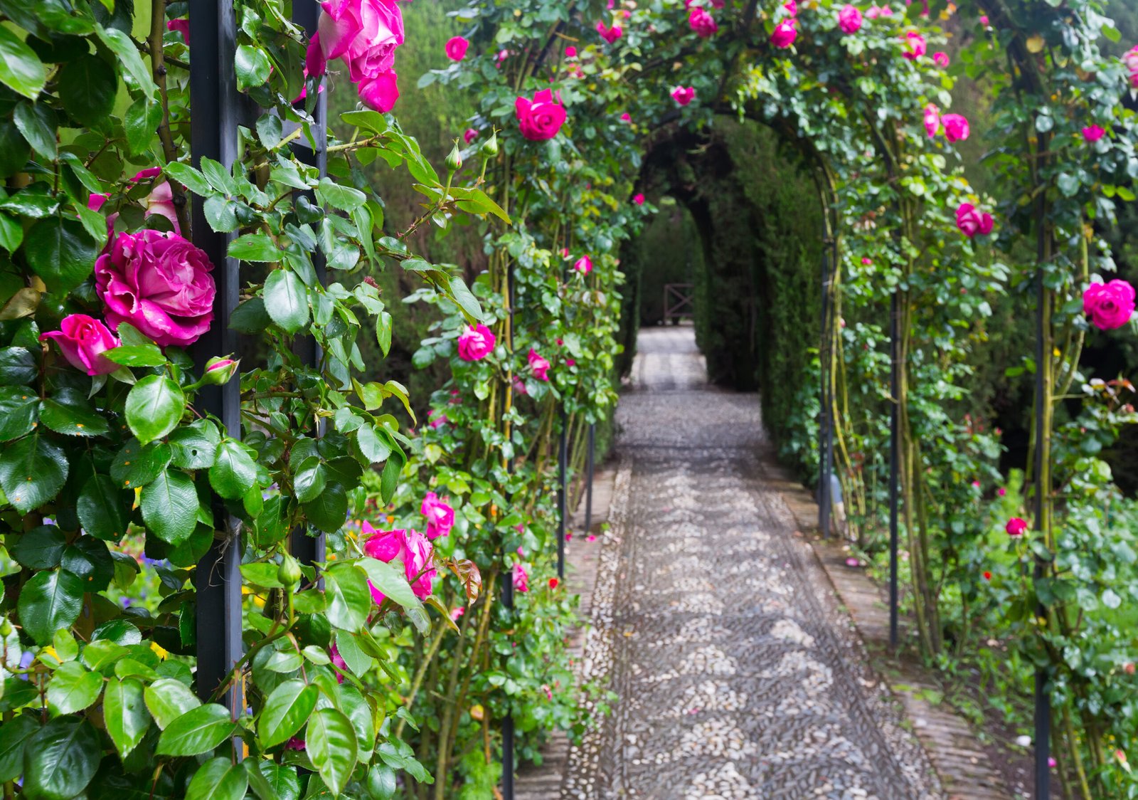 Visita Alhambra y jardines Generalife