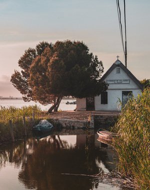 Tour centro Valencia paseo barca Albufera