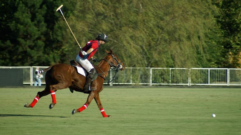 Clases polo partido profesional