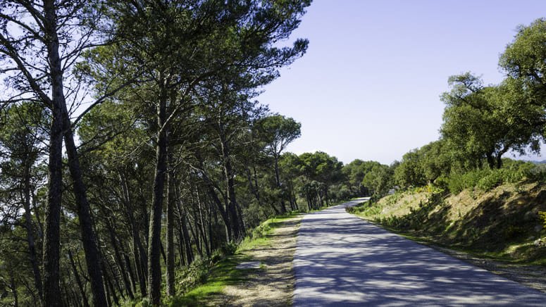 descubre gastronomia malaga coche electrico privado