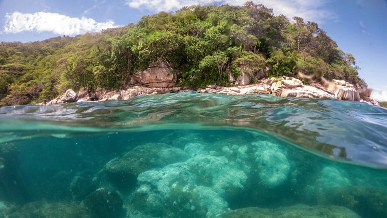 Tour privado lancha bahía Huatulco