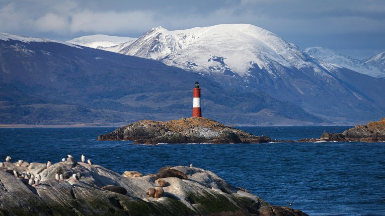 Catamarán por el canal Beagle y la isla de Lobos