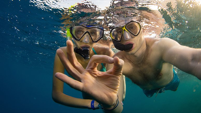 snorkel-avistamiento-tortugas-tenerife