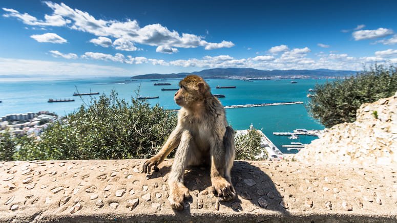 Excursión Gibraltar desde Sevilla