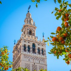 Visita la Catedral, la Giralda y los Reales Alcázares (En Inglés)