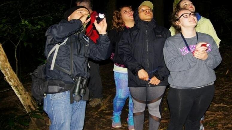 Tour nocturno Monteverde