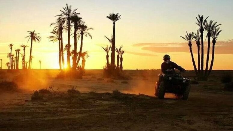 Paseo quad mini Sahara