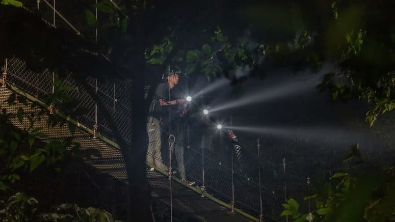 Ruta nocturna Parque Místico Arenal