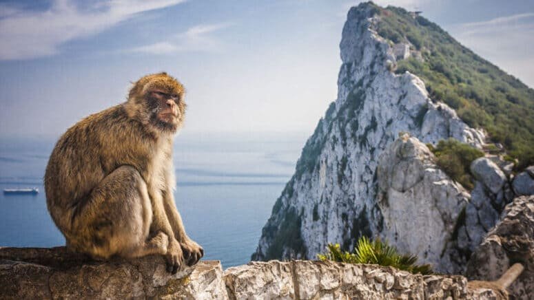 Excursión Gibraltar Málaga