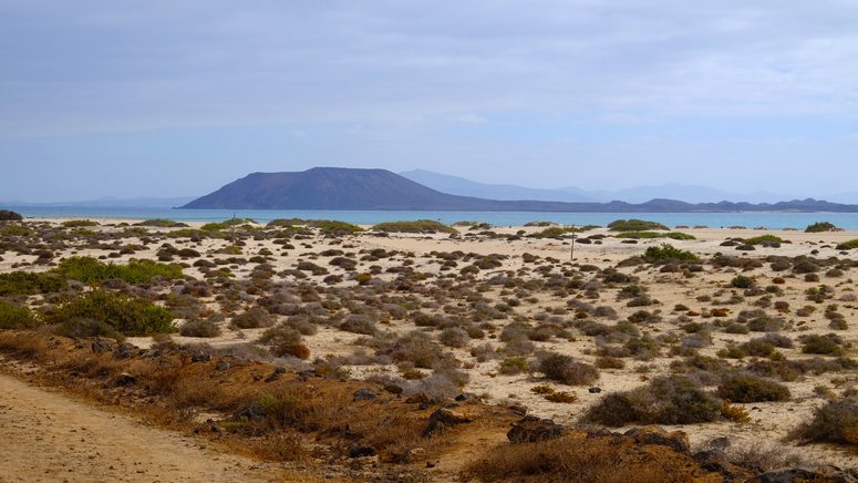 visita cotillo corralejo parque natural dunas