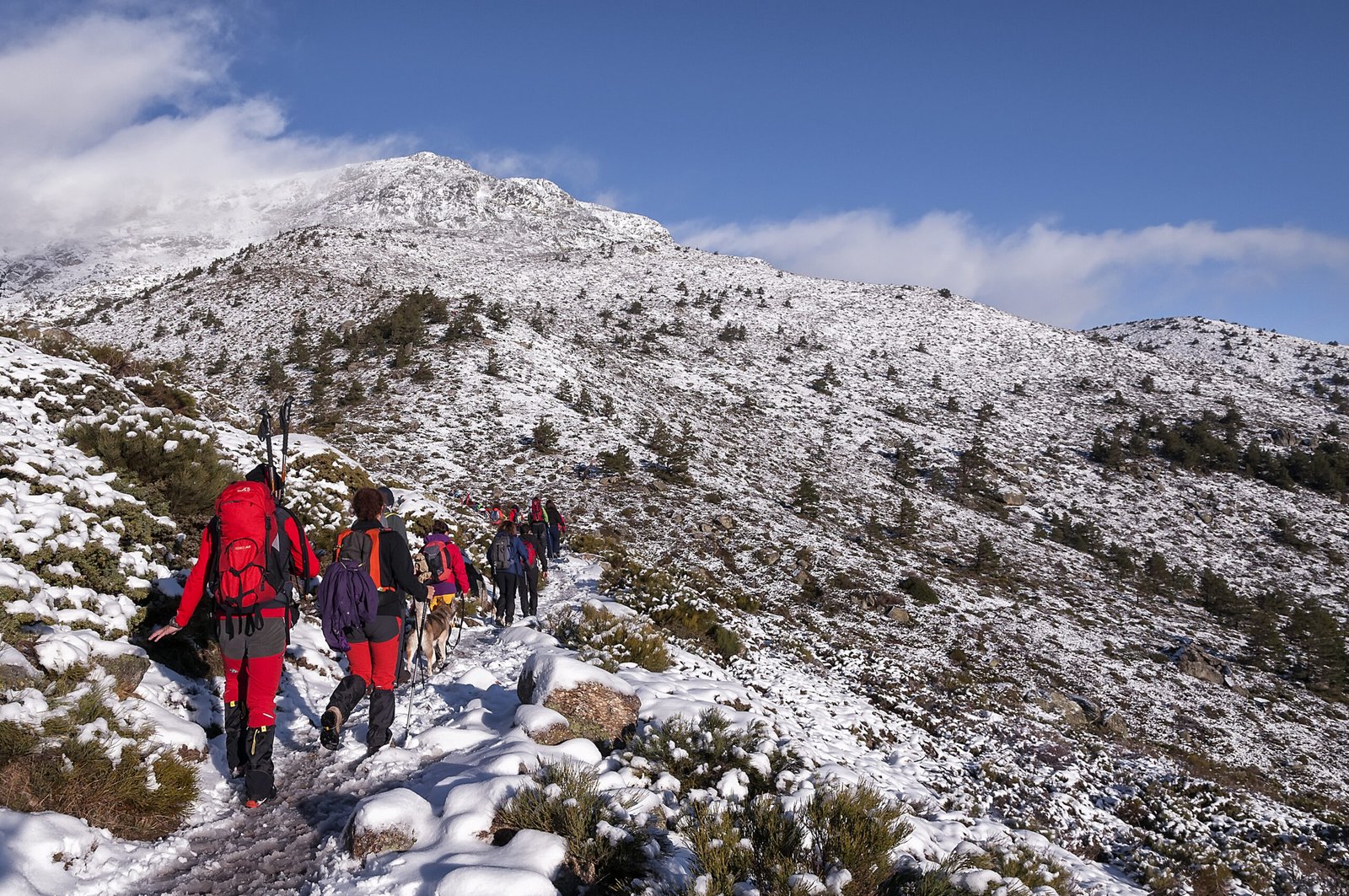 actividad-raquetas-nieve-navacerrada