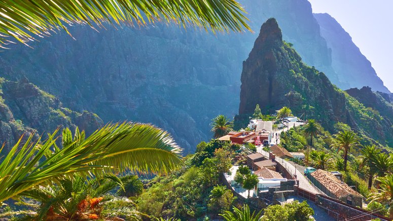 tour gastronomico exclusivo tenerife