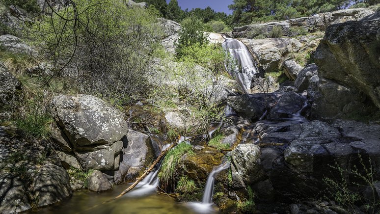 Excursión Parque Nacional Guadarrama 