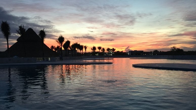 Nada delfines Punta Cana