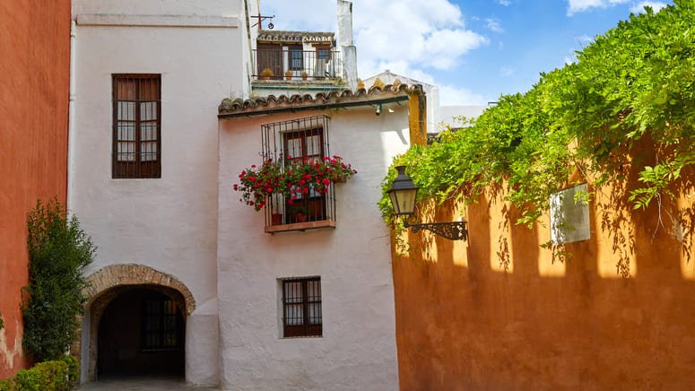 Free tour barrio de Santa Cruz