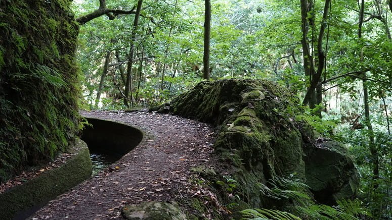 Excursión túneles cascadas Levada Ribeira Janela