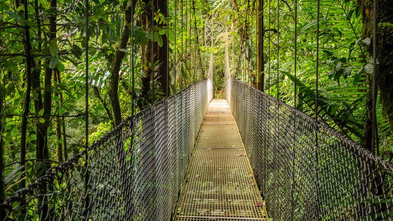 Ruta puentes colgantes Volcán Arenal