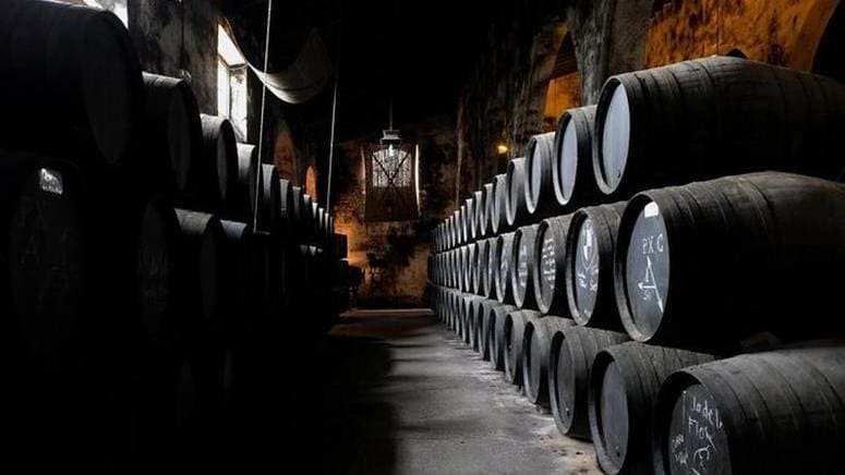 Visita bodega familiar cata E Puerto Santa María